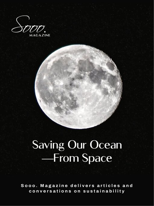 Cover image for Sooo. Magazine